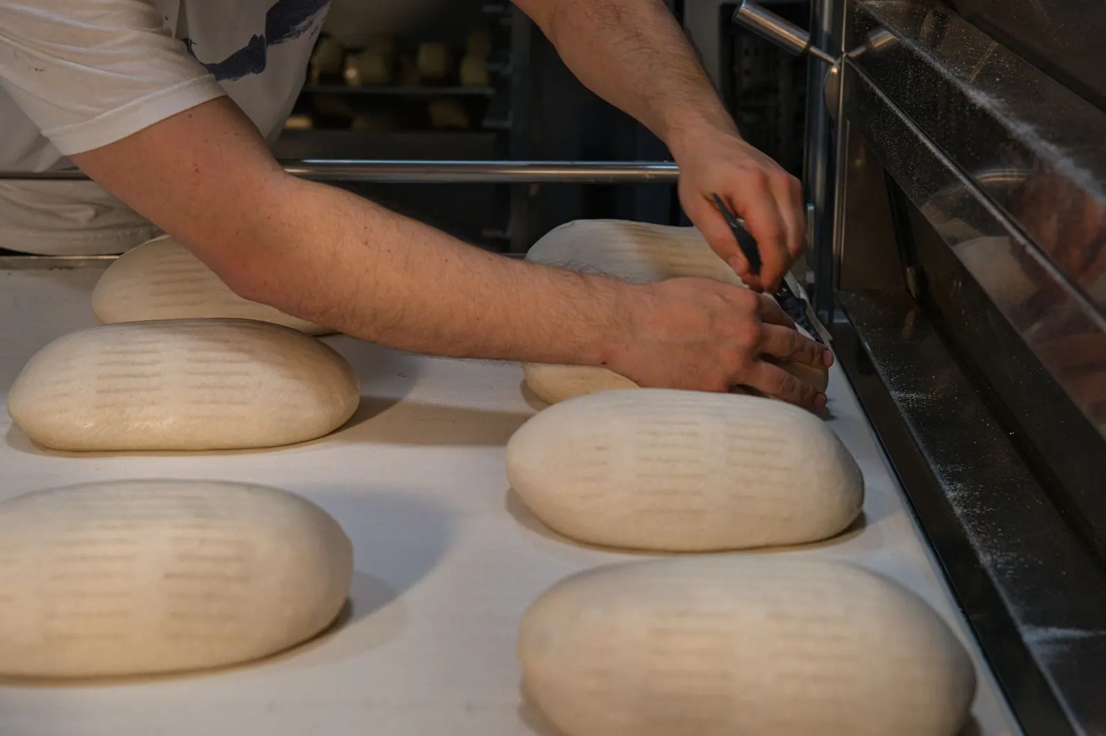 A baker's hands scoring rows of shaped loaves before they go in the oven